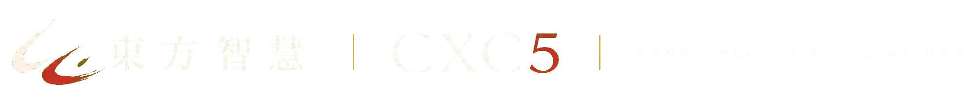 東方智慧 CXC5